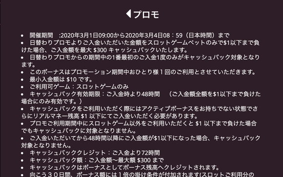 負けないスロット$300の規約