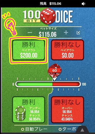 100 bit dice