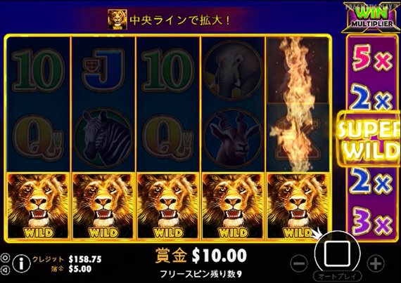 ライオンワイルド5つ下側