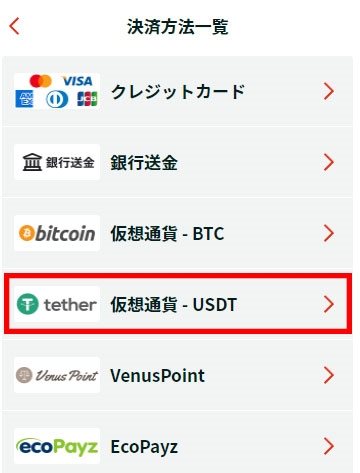 「仮想通貨 – USDT」を選択
