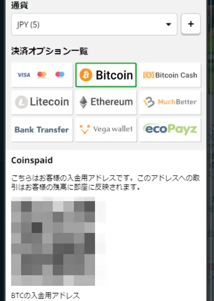 使用する電子決済サービスを選択