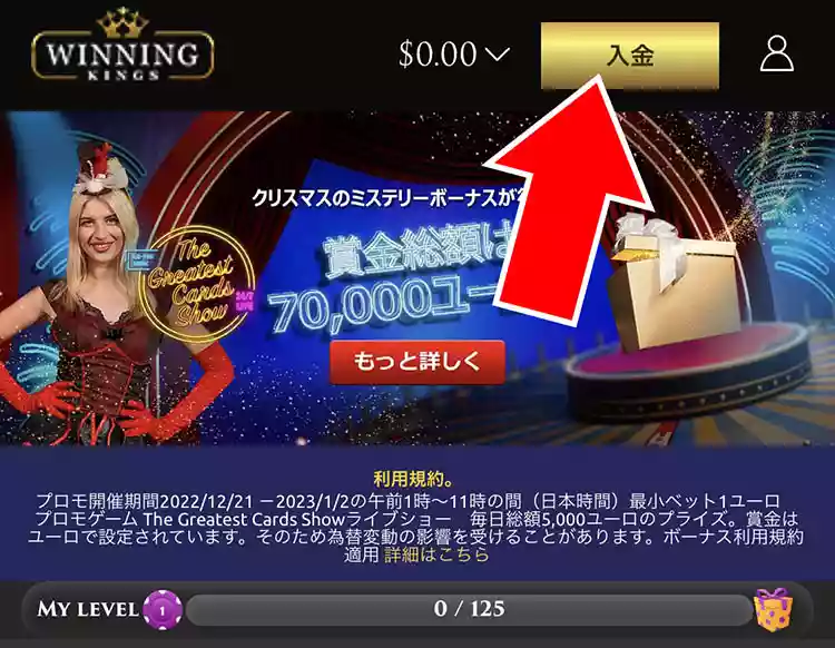 「入金」ボタンをタップする