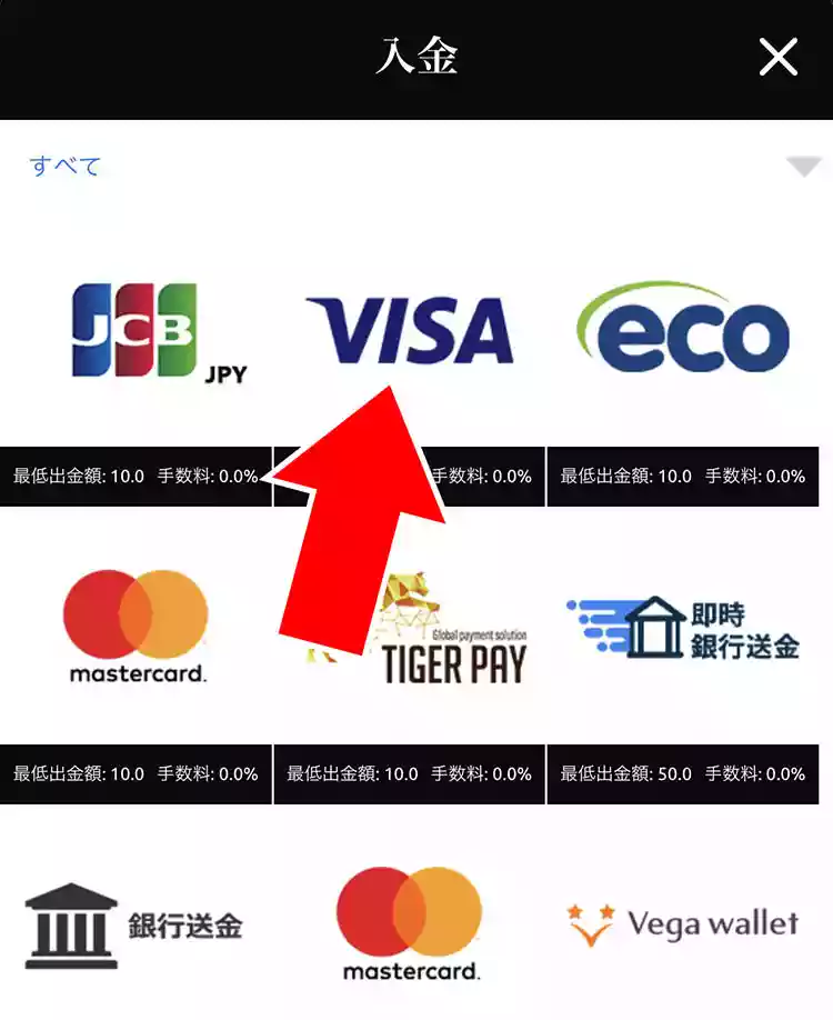 「VISA」を選択