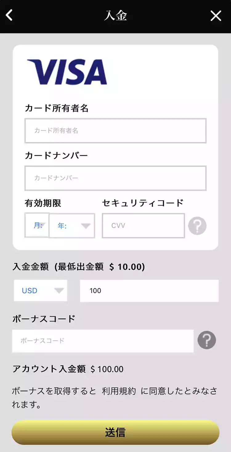 金額とカード情報を入力する