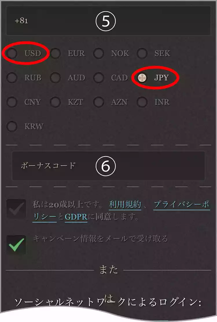 フリースピンが貰える！