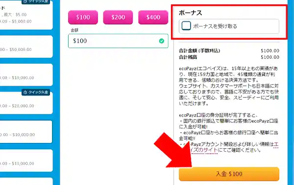 入金するときにボーナスのチェックを外す