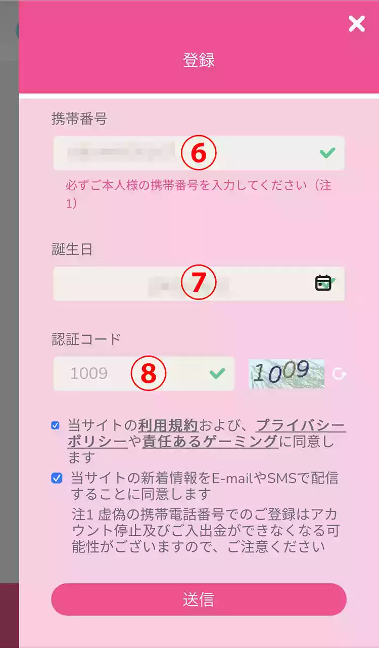 「携帯番号」などを入力