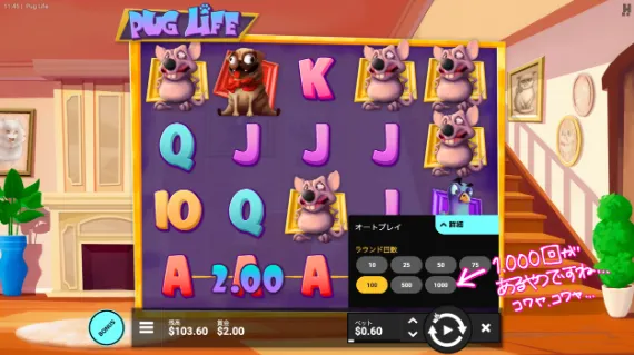 オートプレイ1000回がある