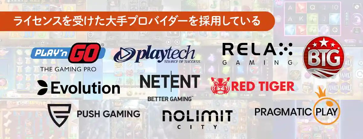 有名なソフトウェア会社(プロバイダー)を利用している
