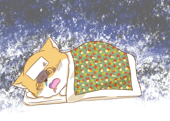 発熱シバラッシュ