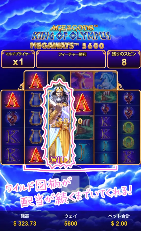 ワイルドフリースピン
