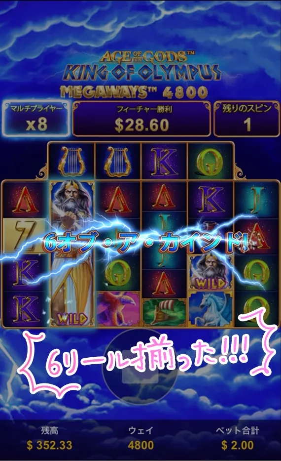 6カード
