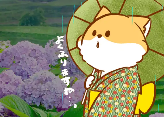 よく降る雨とシバラッシュ