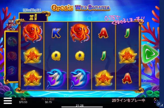 Orca’s Wild Bonanza