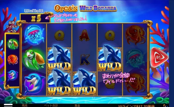 Orca’s Wild Bonanza