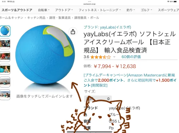 アイスクリームボールで足を痛めるシバラッシュ