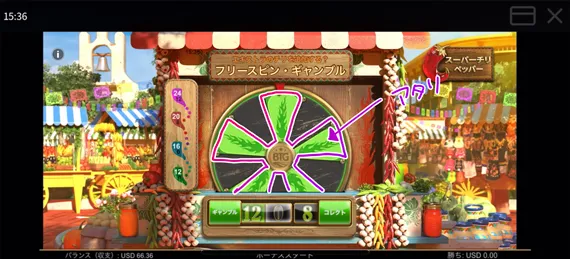 フリースピンギャンブル