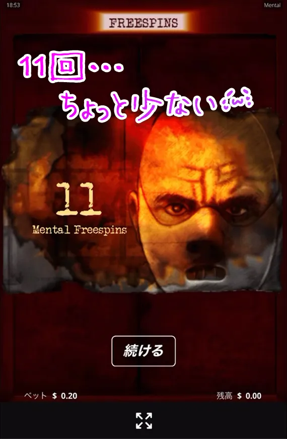 11回