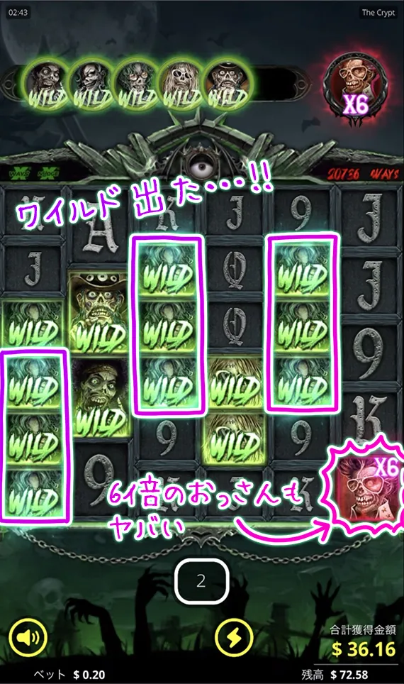 ワイルド降臨