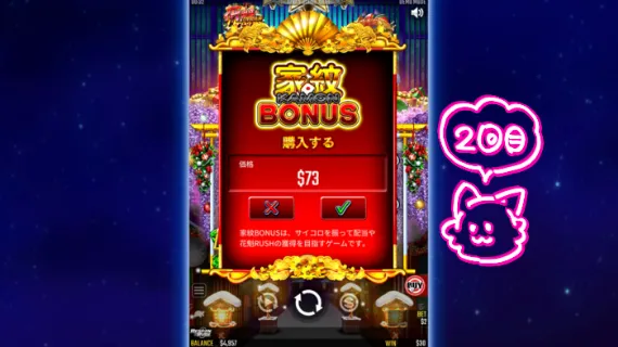 花魁ドリームbuy