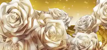 設定④以上濃厚