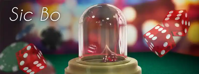 ドラゴンタイガーとはどんなゲーム?