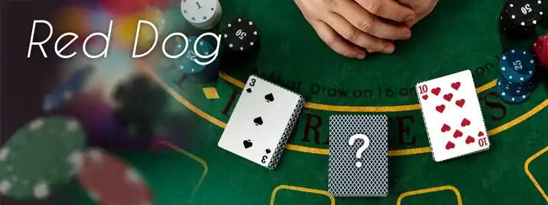 レッドドッグとはどんなゲーム?