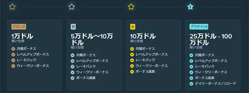 ステークカジノのVIPプログラムについて