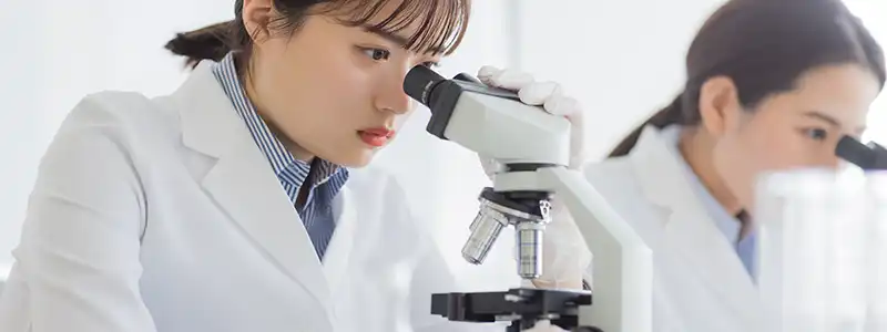 大学研究手伝い