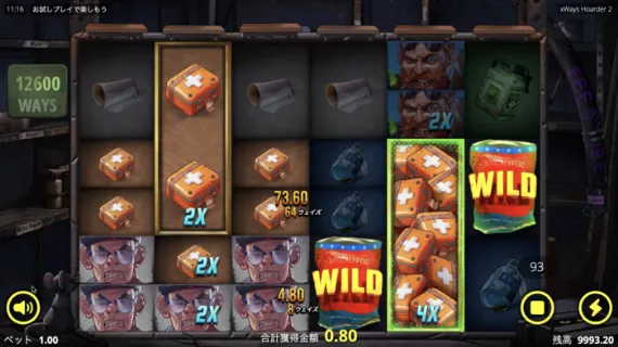 xWays Hoarder 2